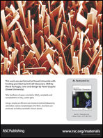 Graphical abstract: Inside back cover