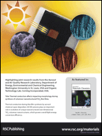 Graphical abstract: Outside back cover