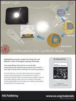 Graphical abstract: Back cover