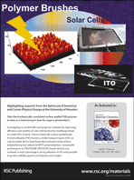 Graphical abstract: Back cover