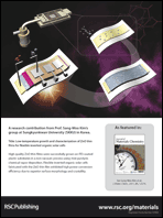 Graphical abstract: Back cover