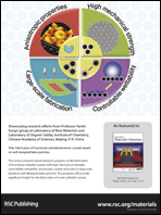 Graphical abstract: Back cover