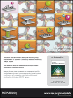 Graphical abstract: Back cover