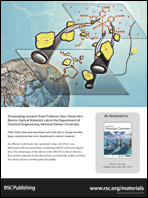 Graphical abstract: Back cover