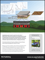 Graphical abstract: Back cover