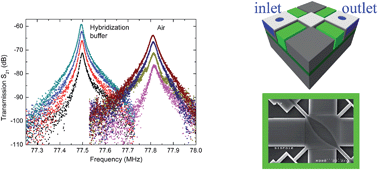 Graphical abstract: An embedded microchannel in a MEMS plate resonator for ultrasensitive mass sensing in liquid