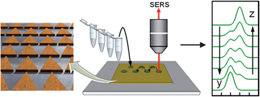Graphical abstract: On-chip approach for traceable quantification of biomarkers based on isotope-dilution surface-enhanced Raman scattering (IDSERS)