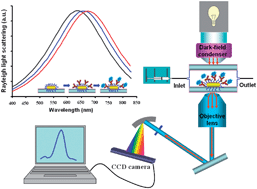 Graphical abstract: A new method for non-labeling attomolar detection of diseases based on an individual gold nanorod immunosensor