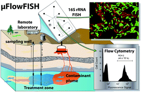 Graphical abstract: Microfluidic fluorescence in situ hybridization and flow cytometry (μFlowFISH)
