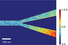 Graphical abstract: Temperature imaging of water in a microchannel using thermal sensitivity of near-infrared absorption