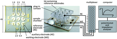 Graphical abstract: An electrode array for electrochemical immuno-sensing using the example of impedimetric tenascin C detection