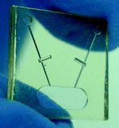 Graphical abstract: SU8 diaphragm micropump with monolithically integrated cantilever check valves