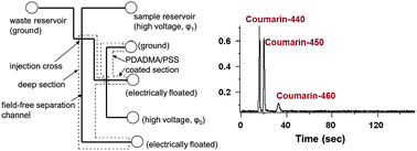 Graphical abstract: A microfluidic device for performing pressure-driven separations