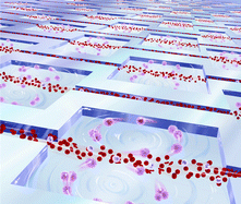 Graphical abstract: Automated cellular sample preparation using a Centrifuge-on-a-Chip