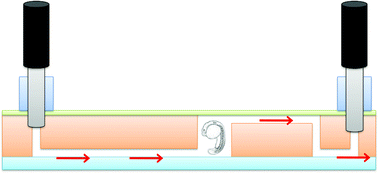 Graphical abstract: Fish and Chips: a microfluidic perfusion platform for monitoring zebrafish development