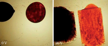 Graphical abstract: Voltage-expandable liquid crystal surface