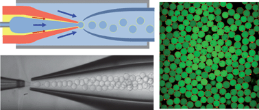 Graphical abstract: Double-emulsion drops with ultra-thin shells for capsule templates