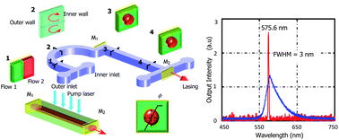 Graphical abstract: A tunable 3D optofluidic waveguide dye laser via two centrifugal Dean flow streams