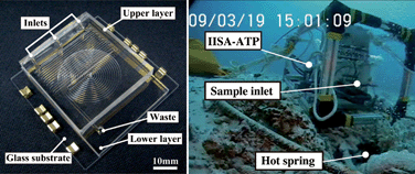 Graphical abstract: A microfluidic in situ analyzer for ATP quantification in ocean environments