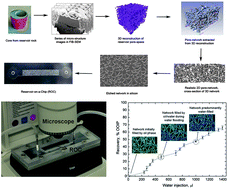 Graphical abstract: Reservoir-on-a-Chip (ROC): A new paradigm in reservoir engineering