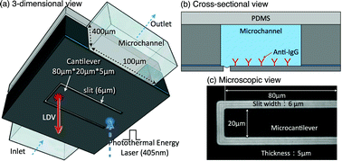 Graphical abstract: High-resolution cantilever biosensor resonating at air–liquid in a microchannel