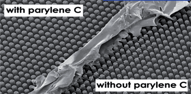 Graphical abstract: Parylene C coating for high-performance replica molding