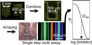 Graphical abstract: Combinable poly(dimethyl siloxane) capillary sensor array for single-step and multiple enzyme inhibitor assays