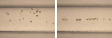 Graphical abstract: On-chip measurements of cell compressibility via acoustic radiation