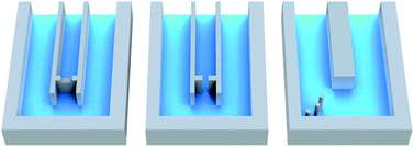 Graphical abstract: Mass sensors with mechanical traps for weighing single cells in different fluids