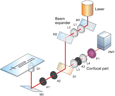 Graphical abstract: Disposable roll-to-roll hot embossed electrophoresis chip for detection of antibiotic resistance genemecA in bacteria