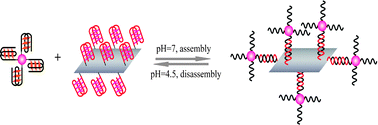 Graphical abstract: pH-responsive, DNA-directed reversible assembly of graphene oxide