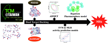 Graphical abstract: Traditional Chinese medicine, a solution for reducing dual stroke risk factors at once?