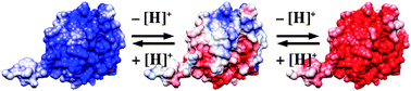 Graphical abstract: Poisson–Boltzmann continuum-solvation models: applications to pH-dependent properties of biomolecules