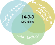 Graphical abstract: The role of protein disorder in the 14-3-3 interaction network
