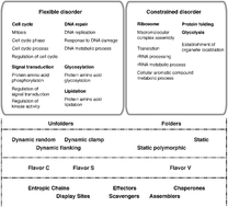 Graphical abstract: An omics perspective of protein disorder