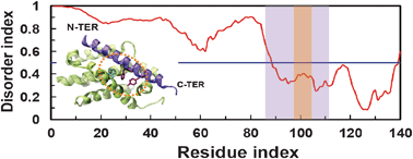 Graphical abstract: Aromatic residues link binding and function of intrinsically disordered proteins