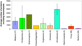 Graphical abstract: Occurrence of disordered patterns and homorepeats in eukaryotic and bacterial proteomes