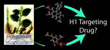 Graphical abstract: High performance screening, structural and molecular dynamics analysis to identify H1 inhibitors from TCM Database@Taiwan