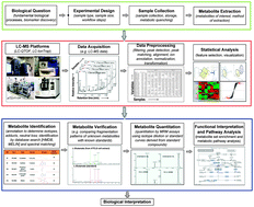Graphical abstract: LC-MS-based metabolomics