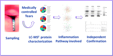 Graphical abstract: Differential protein expression in tears of patients with primary open angle and pseudoexfoliative glaucoma