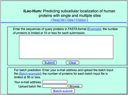 Graphical abstract: iLoc-Hum: using the accumulation-label scale to predict subcellular locations of human proteins with both single and multiple sites