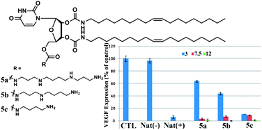 Graphical abstract: Synthesis and efficient siRNA delivery of polyamine-conjugated cationic nucleoside lipids