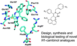 Graphical abstract: N1-Benzyl substituted cambinol analogues as isozyme selective inhibitors of the sirtuin family of protein deacetylases