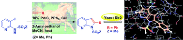 Graphical abstract: Alkynylation of N-(3-iodopyridin-2-yl)sulfonamide under Pd/C–Cu catalysis: a direct one pot synthesis of 7-azaindoles and their pharmacological evaluation as potential inhibitors of sirtuins