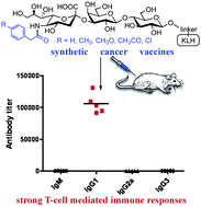 Graphical abstract: Synthesis and evaluation of protein conjugates of GM3 derivatives carrying modified sialic acids as highly immunogenic cancer vaccine candidates