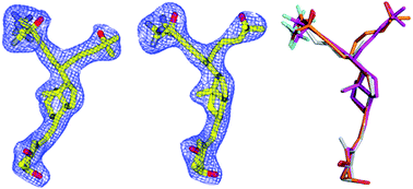 Graphical abstract: Structure–function study of gemini derivatives with two different side chains at C-20, Gemini-0072 and Gemini-0097