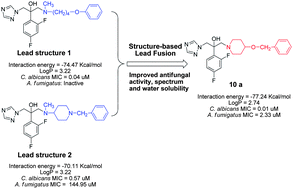 Graphical abstract: Discovery of highly potent antifungal triazoles by structure-based lead fusion