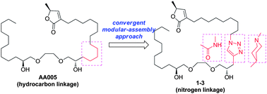 Graphical abstract: Modular assembly of cytotoxic acetogenin mimetics by click linkage with nitrogen functionalities