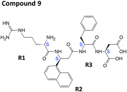 Graphical abstract: Structure–activity relationship of conformationally constrained peptidomimetics for antiproliferative activity in HER2-overexpressing breast cancer cell lines