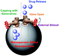 Graphical abstract: Towards biocompatible nanovalves based on mesoporous silica nanoparticles